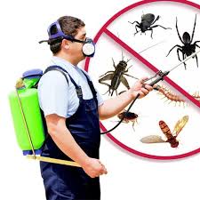 If you're wanting to do your own pest control, it's essential to figure out how pests are getting inside your home. Do It Yourself Pest Control Pestimony Twitter