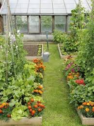 Marigol Vegetable Garden Design