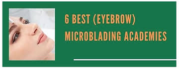 6 best eyebrow microblading academies