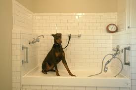 Dog Washing Stations In Mudrooms