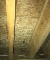 Finding the problem mold, allergens, or other particles in basements. New Construction Basement Mold The Dry Guys