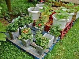 Crafty Container Vegetable Gardening