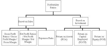 Profitability Ratios Types Margin Return Ratios