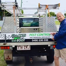 boot pest control in nambour queensland