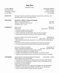 Different Types Of Resume Unique Types Resume For Job Types Resume