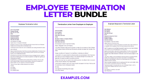 employee termination letter 17