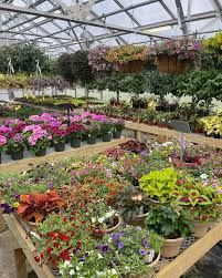 riverside greenhouses florist