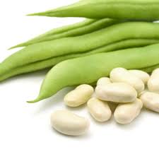 The latest tweets from maoh king (@king_maoh). Dwarf French Bean Cannellino Organic Seed A Leading Supplier Of Vegetable Seeds In Essex Uk Grow Your Own Vegetable Seeds Kingsseeds Com