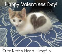 It originated as a western christian feast day honoring one or two early. Happy Valentines Day Cute Kitten Heart Imgflip Cute Meme On Me Me