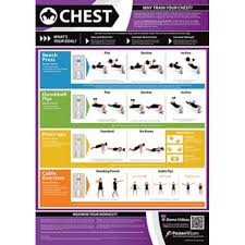 chest fitness chart