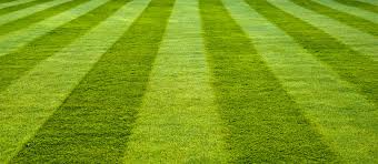 10 Good Lawn Mowing Tips Lawntech
