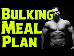 bulking t plan bulking meal plan