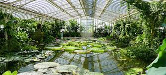 Die ausstellung „molassic park in der winterhalle des botanischen. Besuch Im Botanischen Garten Und Dem Schloss Nymphenburg In Munchen Velanga