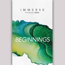 Immerse: Beginnings – 8 Week Bible Reading Experience