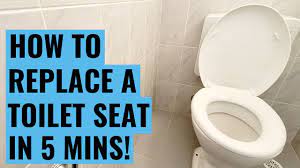 how to install replace a toilet seat