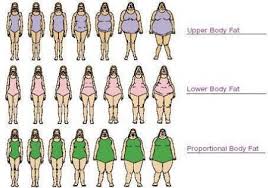 While there are many different body shapes out there, most women align with one of five: Body Types For Women Body Types Women Body Types Chart Body Types