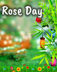 best rose day editing background for