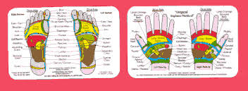 Reflexology Books And Charts For Sale International