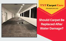 carpet be replaced after water damage