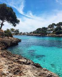 palma airport to cala d or book now