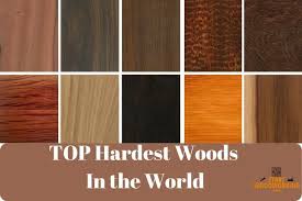 top 15 hardest woods in the world you
