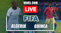 Goal and Highlights: Algeria 1-0 Guinea in Friendly Game 2022 | 09 ...