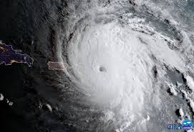 Image result for irma destruction