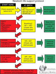 Poster Detailing The Neonatal Resuscitation Algorithm
