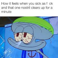 Show your feelings with this funny squidward meme. Everyone S Favorite Grump Get The Best Squidward Memes Here Film Daily