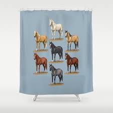 Horse Common Solid Coat Colors Chart Shower Curtain By Csforest
