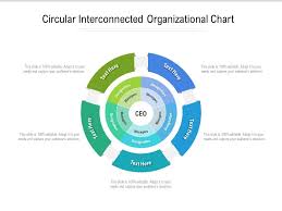 Circular Interconnected Organizational Chart Presentation