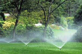 Seasons play a vital role here. Garden Watering Tips This Old House