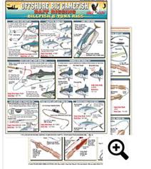 Bait Rigging Chart 4 Off Shore Contains Illustrations