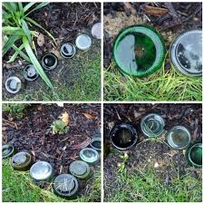 recycled gl bottle garden border