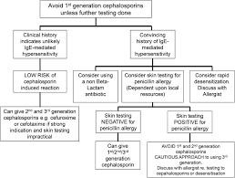 Medical Pictures And Flow Charts Cephalosporins