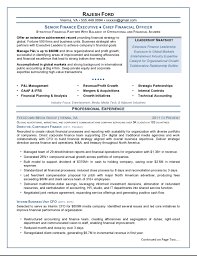 Examples Of Executive Resumes Resume Sample