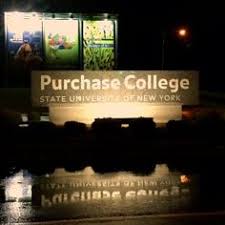 Order Your Own Writing Help Now   suny purchase college essay     Pinterest Courtesy of Purchase College  SUNY