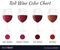 Red Wine Color Chart Hand Drawn Wine Glasses