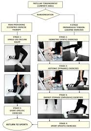 progressive tendon loading exercises