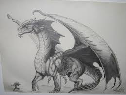Names of bouncie dragons in order: Realistic Dragon Drawing At Paintingvalley Com Explore Collection Of Realistic Dragon Drawing