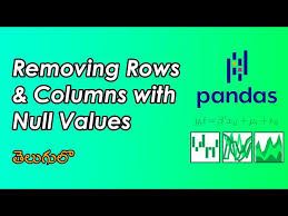 removing rows and columns with null