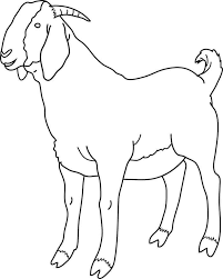 Goat welcome sign silhouette farmyard metal art | etsy. Boer Goat Coloring Pages Animal Coloring Pages Coloring Pages Shape Coloring Pages