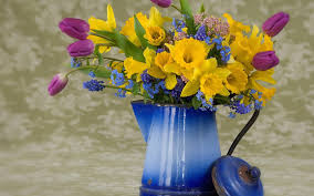 bucket flowers in jug free spring