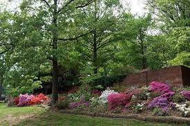 8 botanical gardens in washington to