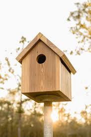 Diy Birdhouse Plans Easy Tutorial