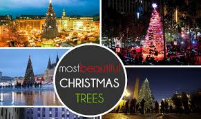 Decorating the christmas tree, huge discounts at shopping malls, the cozy tangerines aroma, singing christmas carols, waiting for santa claus to having cribs in your own home became popular in italy in the 16th century and it's still popular today. Top 20 Most Beautiful Christmas Trees In The World