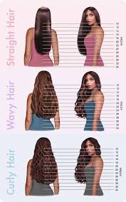 Hair Length Chart Hair Theme