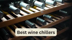 best wine chillers for domestic