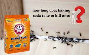 does baking soda kills ants not just a