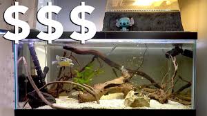 cost to set up a turtle tank